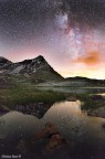 Starry Gavia Starry Gavia