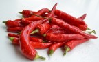 chili pepper chili pepper