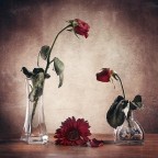 what happened? what happened?