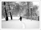 passeggiata nella neve passeggiata nella neve