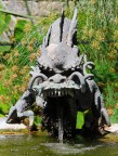 Dragon Dragon