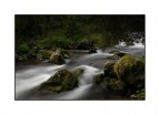 torrente torrente