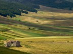 Rudere