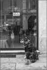 Io Non Posso Entrare