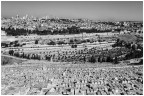 Israele e Palestina Israele e Palestina