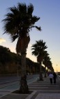 viale viale