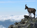 In cima al mondo In cima al mondo