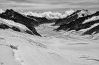Aletsch gletscher bw Aletsch gletscher bw