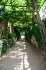 Passeggiata a Villa Cimbrone