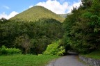 Sfumature di verde tra i boschi di Endine Gaiano