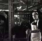 el bergamin ;/) el bergamin ;/)