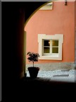 particolare primavera 05