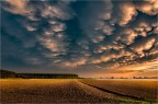 Mammatus clouds Mammatus clouds