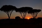 Commenti e critiche sono ben accetti! Voglio capire le mie capacit