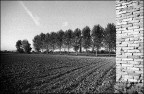 IMG_0031 IMG_0031