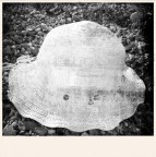 cappellino solitario cappellino solitario