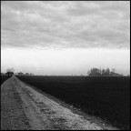 Novembre 1980 Novembre 1980