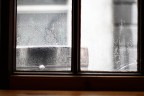 After the rain