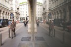 Reflex Reflex