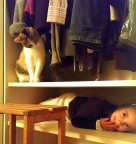 Prova a prendermi... Prova a prendermi...