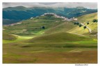 Castelluccio 2014