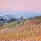 La vigna