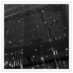 Vite sospese Vite sospese