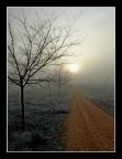Escarcha al amanecer Escarcha al amanecer