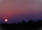 Campo al tramonto Campo al tramonto