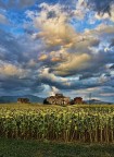 Toscana Toscana