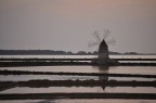 saline saline