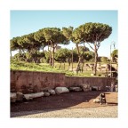 Alone in Rome Alone in Rome