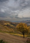 autunno nelle Langhe 5 autunno nelle Langhe 5