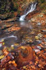 Autunno nelle Cascate Faggi (Parco Nazionale della Sila) Autunno nelle Cascate Faggi (Parco Nazionale della Sila)