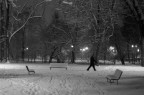 sono sempre stato affascinato da quelle persone che passeggiano di sera nei parchi da soli, anche se fa freddo e c' la neve ... con la fantasia cerco di immaginarmi i loro pensieri del momento ... peccato che se l'avessi scattata un'attimo prima il mio personaggio non si sareebbe confuso con gli alberi.