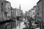 Chioggia bianco e nero. Chioggia bianco e nero.