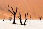 Dead vlei, 3 Dead vlei, 3