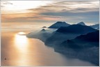 L'oro di Sal