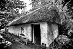 Thatched hut Thatched hut