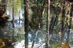 Riflessi Riflessi
