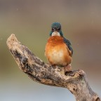 Che abbuffata!! Che abbuffata!!