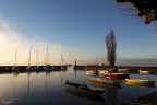 Alba Nebbia al Porto