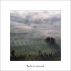 Nebbie autunnali Nebbie autunnali