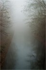 Dissolvenze