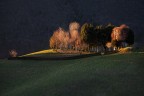 Lighted garden