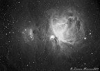 Nebulosa di Orione Nebulosa di Orione