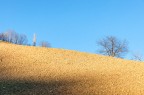 sc_5555 sc_5555