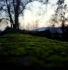 Vb 1114 10 Vb 1114 10