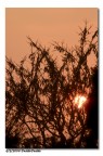 Copia di "l'alba, anche se non sembra :("
eseguita al tramonto :)

Bye Feddu
