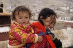 Bimbo tibetano Bimbo tibetano